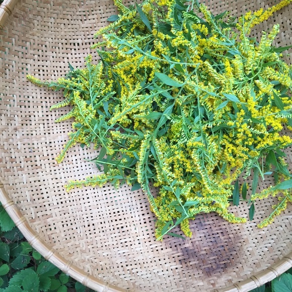 Meet your Posher, Sarah - Picture 6 of 8